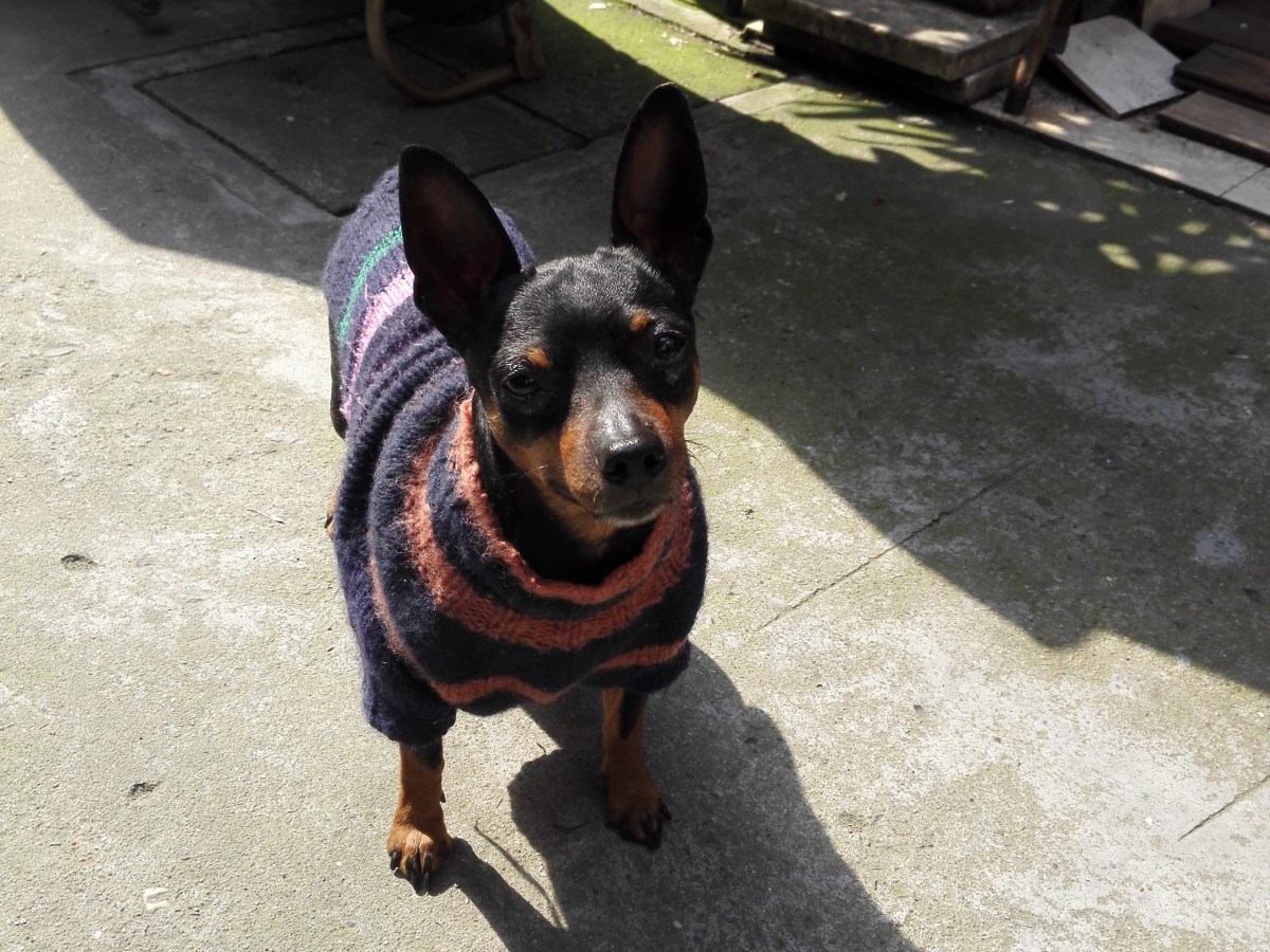 Dear Mr man in the Van #2 of&nbsp;3.