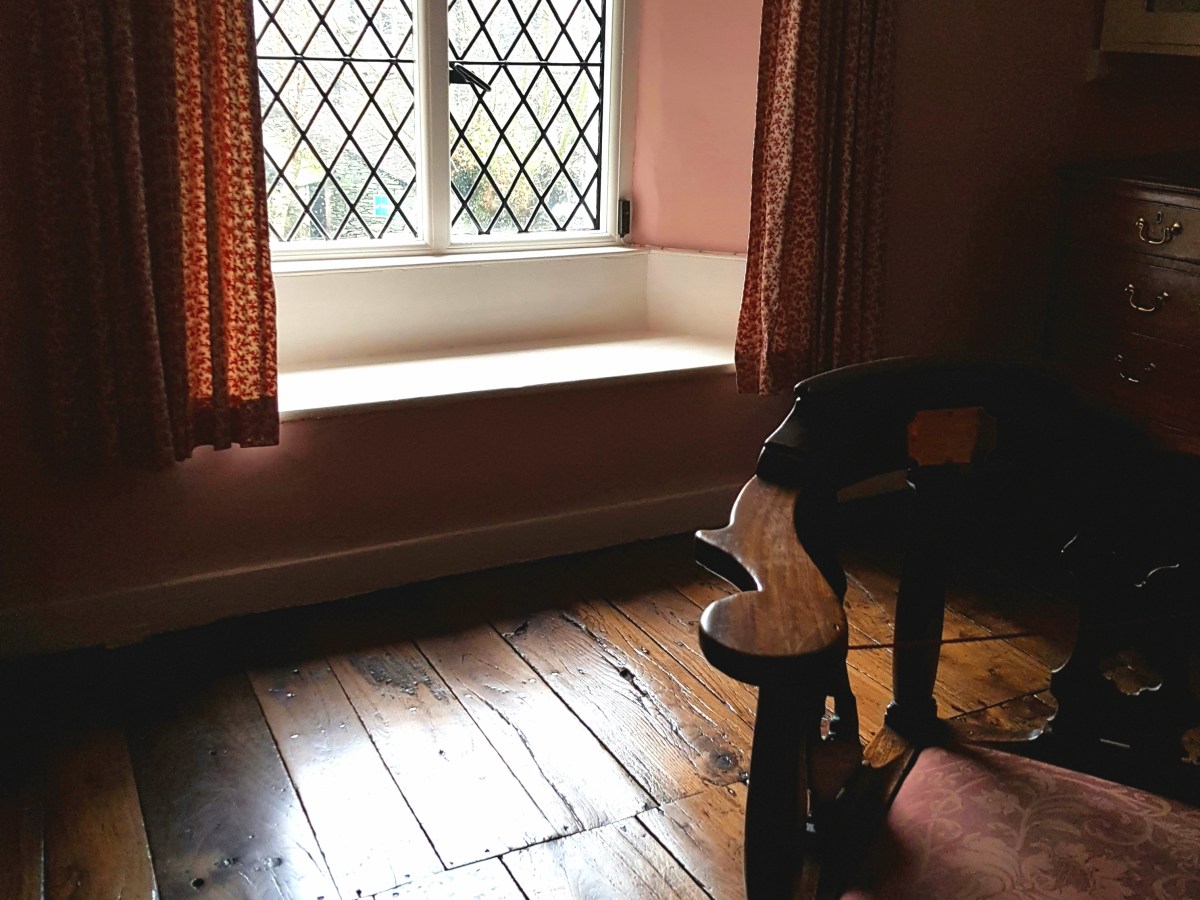 A Trip to the&nbsp;Woods